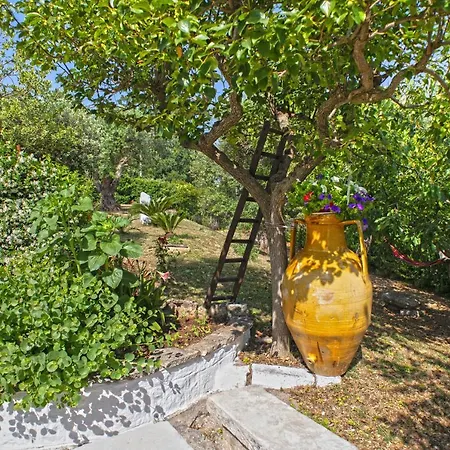 Il Brigante Bed & Breakfast Alberobello